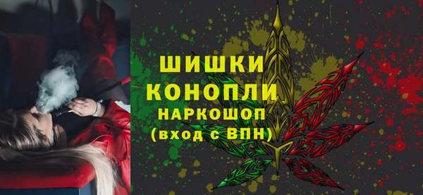 PSILOCYBIN Лиски
