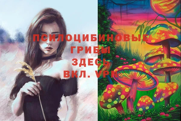 PSILOCYBIN Лиски