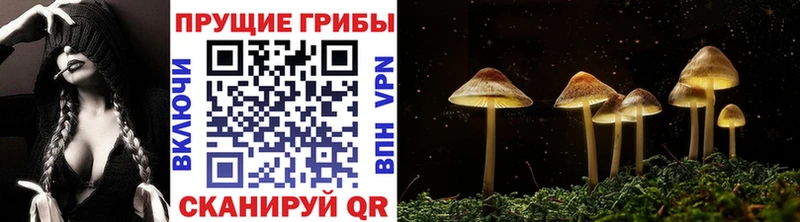 Купить закладки  Лукоянов  Псилоцибиновые грибы ЛСД 